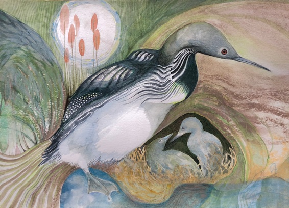 Diver seabird chicks painting